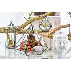 Sklenené Terárium - Lampáš