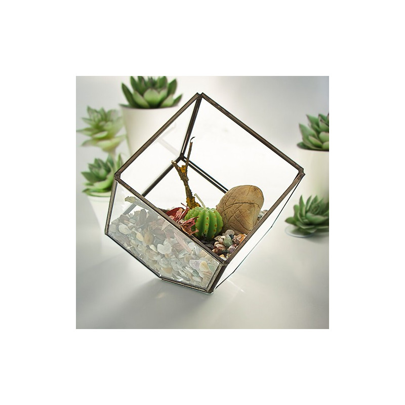 Sklenené Terárium - Kocka na Rohu
