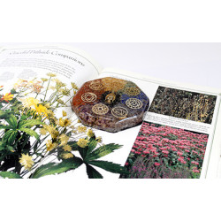 Orgonitový Disk - 4 Stromy