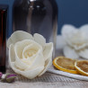 12x Prírodný Aroma Difúzor Kvet - Malý Lotosový Kvet