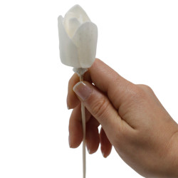12x Prírodný Aroma Difúzor Tyčinka Kvet Tulipán