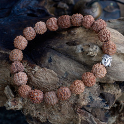 6x Rudraksha Mala Buddha Náramok - Prírodný