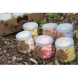 6x Aroma Vonné Vosky - Mäta Pieporná & Eukalyptus