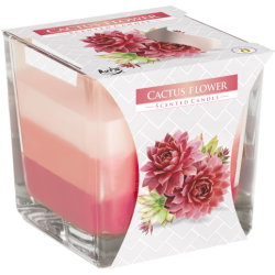 6x Dúhové Sviečky v Skle - Kaktusový Kvet