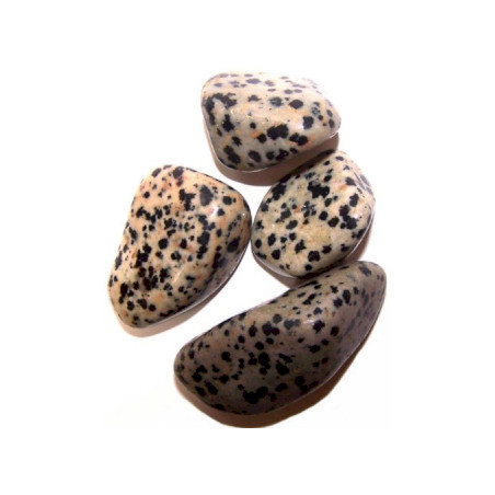 24x Stredný Hladký Kameň - Dalmatínsky Kameň