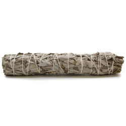 Balené Vykurovacie Zväzky - Biela Šalvia 22.5 cm