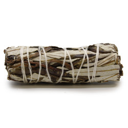 Balené Vykurovacie Zväzky - Šalvia Shasta 10cm