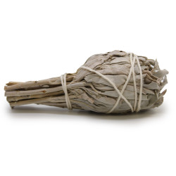 Balené Vykurovacie Zväzky - Biela Šalvia Fakľa 10cm