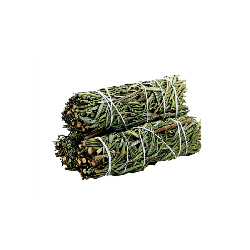 Balené Vykurovacie Zväzky - Romero Šalvia 10 cm