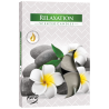 12x Set 6 Čajových Sviečok - Relax