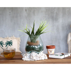 Roztavené Sklo na Dreve - Biela Vymývaná - Malá Misa