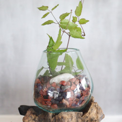 Roztavené Sklo na Dreve so Stojanom - Veľká Misa