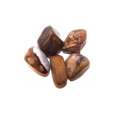 24x Stredné Hladké Kamene - Skamenené Drevo