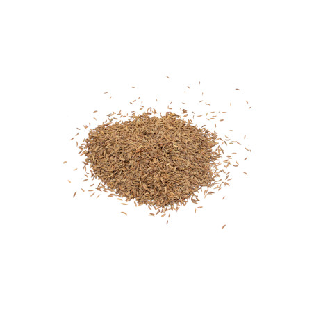 Fenikel (semienka) 1Kg