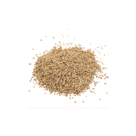 Aníz (semienka) 1Kg