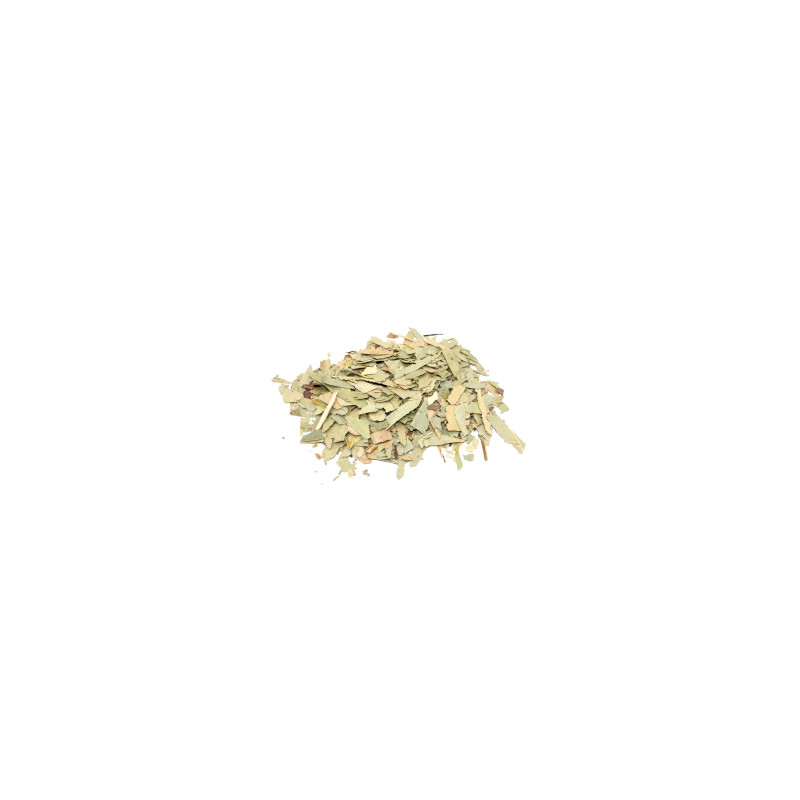 Eucalyptus (sekaný list) 1Kg