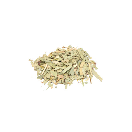 Eucalyptus (sekaný list) 1Kg