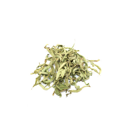 Citrón Verbena (listy) 250gr