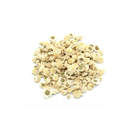 Rímsky Harmanček (kvet) 1Kg