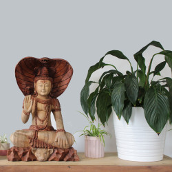 Ručne Vyrezávaná Socha Budhu - Shiva s Kobrou - 50cm