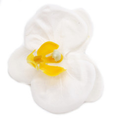 25x Mydlové Kvety pre Šikovné Ruky - Orchidea - Biela