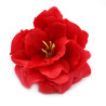 50x Mydlové Kvety pre Šikovné Ruky - Malá Pivonka - Červená