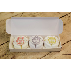 6x Šumivé Bomby do Kúpeľa - Lisované Pivonky