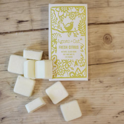 4x Prírodné Sójové Vonné Vosky 160g - Citrus