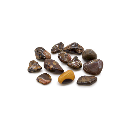 12x Stredne Africké Kamene - Jaspis Obrázkový