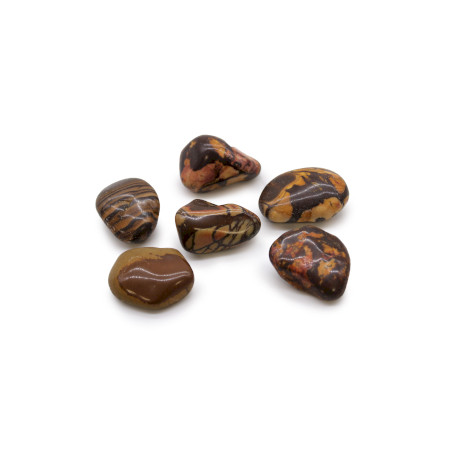 6x Veľké Africké Kamene - Obrázkové Nguni