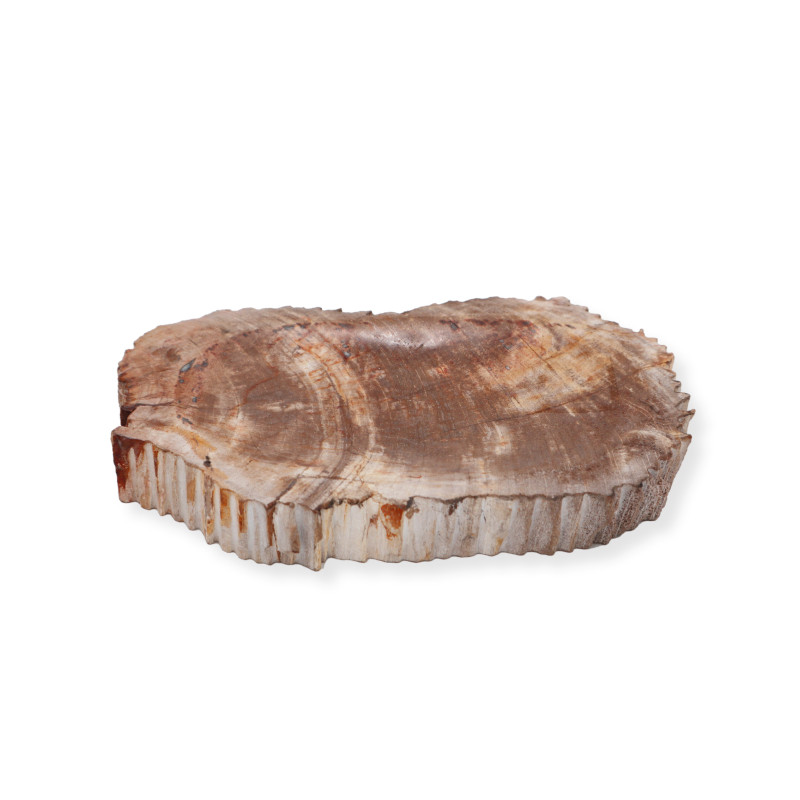 Hnedá Miska na Mydlo zo Skameneného Dreva