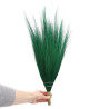 Sada 4ks Pampas Trávy - Živé Farby