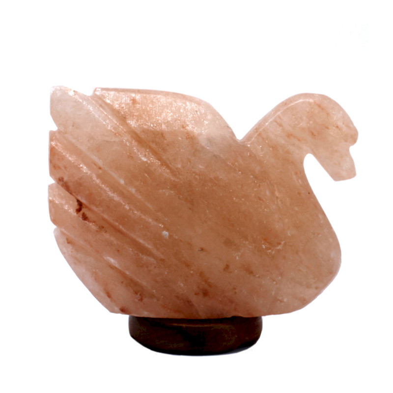 Soľné Tienidlo - Labuť 7x17x14