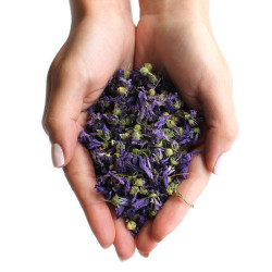 Kvety Slezu, Modré - Celé (0.5kg)