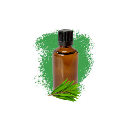 10x Čajovník 50ml - Bez Etikety