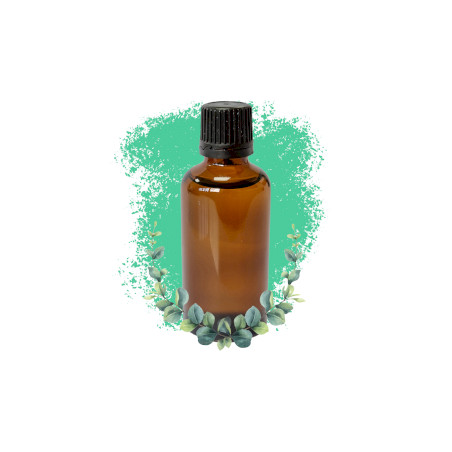 10x Eukalyptus 50ml - Bez Etikety