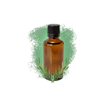 10x Rozmarín 50ml - Bez Etikety