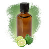 10x Bergamot (FCF) 50ml - Bez Etikety