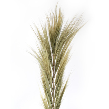 Prírodné Trávy Rayung